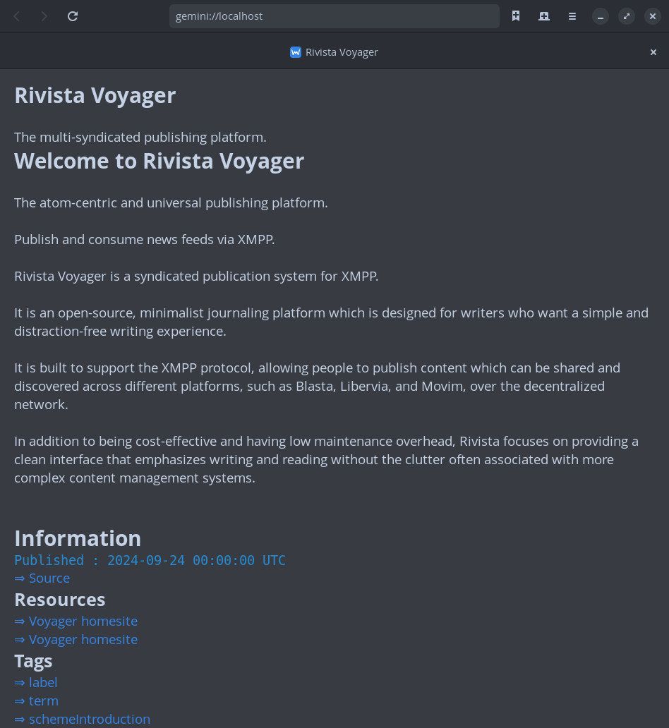 _images/rivista_gemini_server.png